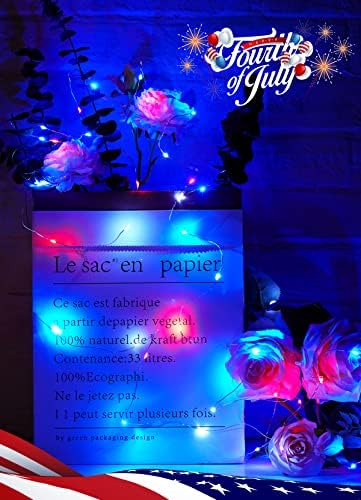 Brightown 4th of July Decor Patriotic Fairy Lights Battery Operated