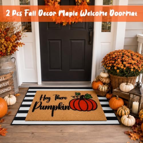 2 Pcs Fall Pumpkin Welcome Doormat-Fall Decor Black White Door Mat Set