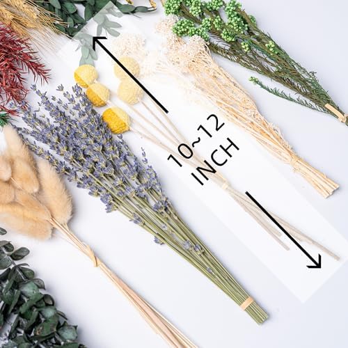 12kinds Natural Dried Flowers DIY kit ,10~12inch,Handpicked Including Lavender/Eucalyptus/Wheat,for Home Office Wedding Decor, Low-Maintenance
