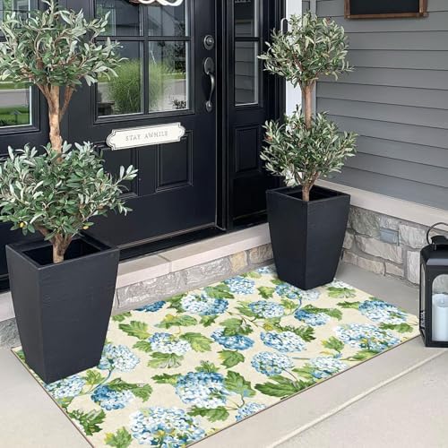 Front Door Mat Indoor Entrance - 2x4.3 Light Blue Green Floral Rug