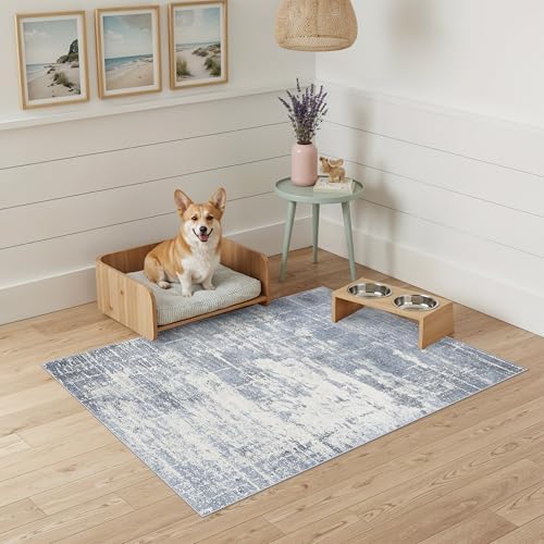 Washable 2x3 Entryway Area Rug: Modern Abstract Neutral Kitchen Rug Vintage Soft Floor Mat for Stove & Sink Area