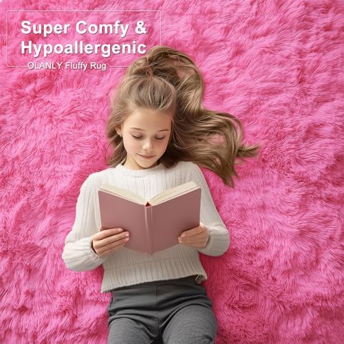 OLANLY 2x3 Machine Washable Small Bedside Rug, Soft Fluffy Shaggy Entryway Throw Rugs for Bedroom, Living Room, Indoor