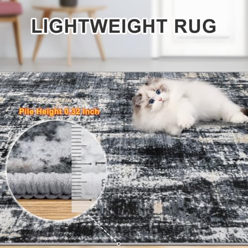 PLHXFR 8x10 Area Rug Living Room: Abstract Washable Carpet Black Gold
