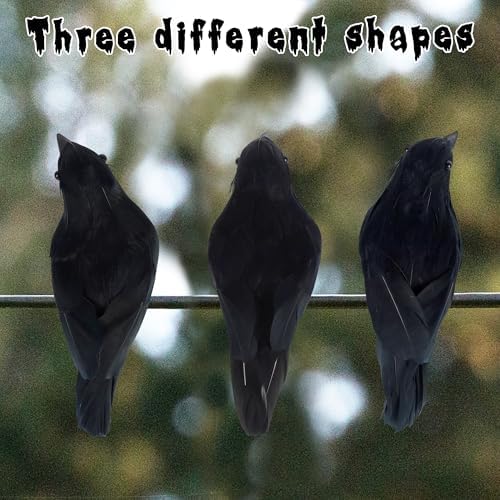 ATDAWN Halloween Birds, Black Feathered Crows, Realistic Looking Halloween Birds Decoration Birds, 6.2" (6)
