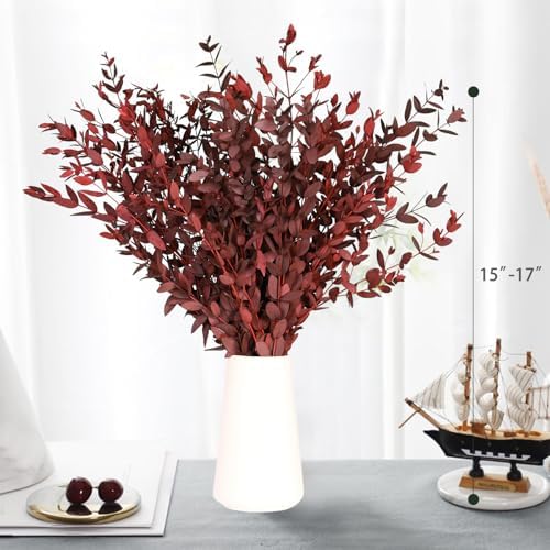 Dried Eucalyptus Leaves Stems, Preserved Real Eucalyptus Plant, Dried Willow Branches Bundle for Wedding Wreath Home Fragrance Vase Filler Bathroom Decor, Fall Arrangement Decorations (Red, 3oz)