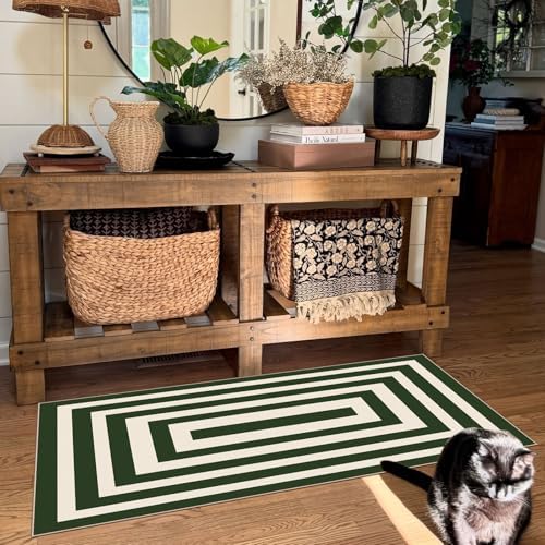 Front Door Mat Indoor Entrance 2x4.3 Modern Green White Striped Rug