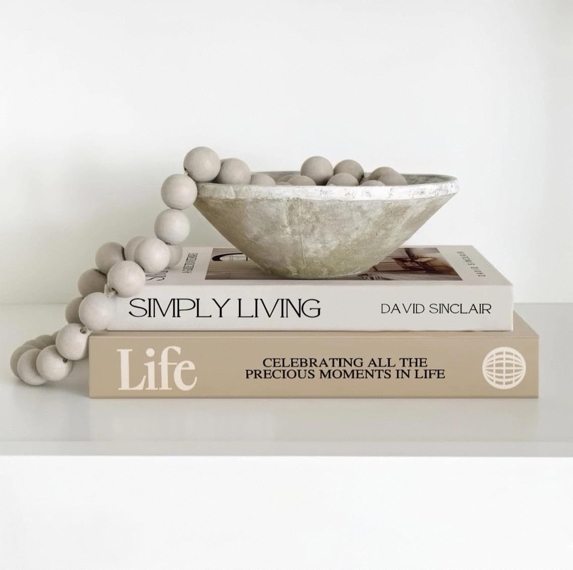 Modern Minimalist Faux Book / E1 / Set of 2