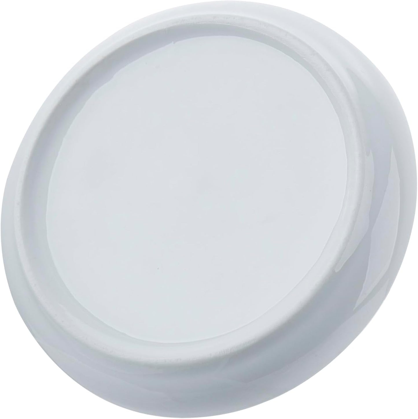 Decorative Ceramic Ring Tray for Jewelry / Ceramic Aloe / White