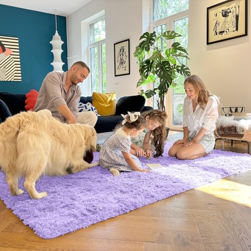 OLANLY 6x9 Machine Washable Large Area Rugs for Living Room, Bedroom, Soft Fluffy Shaggy Bedside Rug, Indoor Floor