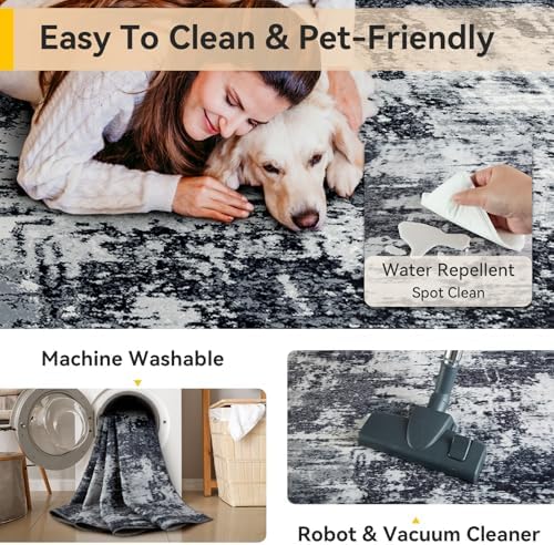 RELEANY Washable 3'x5' Abstract Area Rug for Living Room Black White
