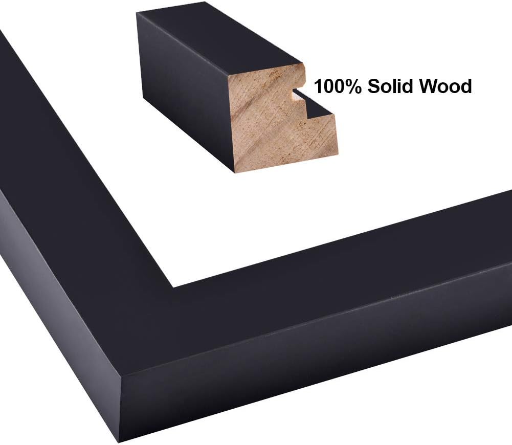 Picture Frame Made of Solid Wood and High Definition Glass Display Pictures / Black / 11 x 14