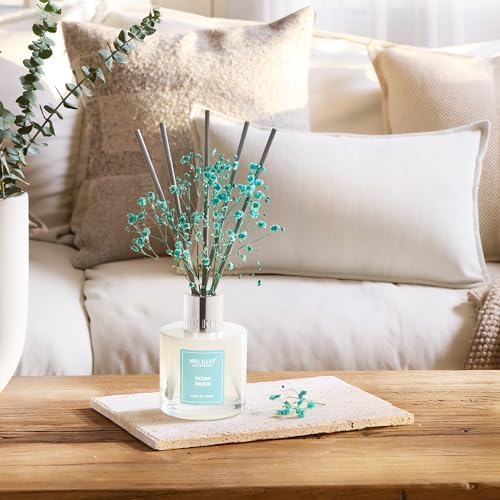 Airkeep Reed Diffuser Set,3.38 fl oz (100 ml) - Ocean Breeze Oil Diffusers with 8 Reed Sticks, Home Fragrance Reed