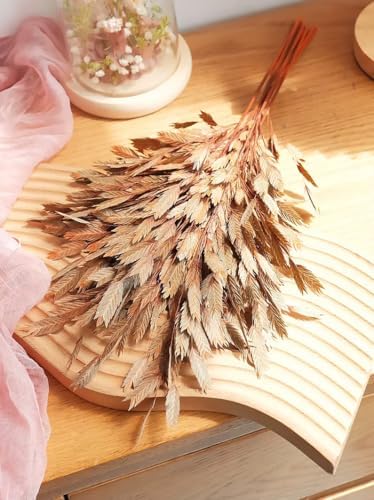 Dried Grass Bundle, 20 Stems 15-17 Inch Natural Chasmanthium Flower Bouquet for Vase, DIY Floral Arrangements, Weddings Party Home Baby Shower Elegant Decor (Brown)