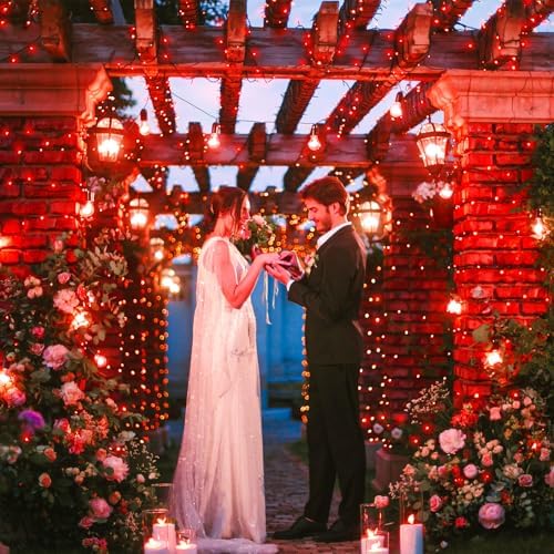 100FT 300 LED Christmas Lights Outdoor, Christmas Tree Lights, Red