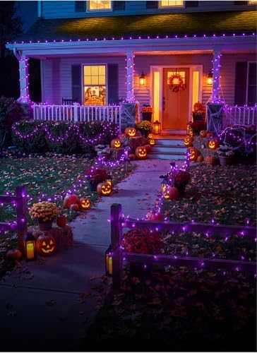 Minetom Purple Halloween Mini Lights, 100 Count 20 Feet Mini String Lights