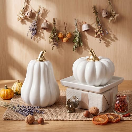 Qinyoung 2 Pcs Fall Ceramic Pumpkins for Home Decor Gold Stem, White