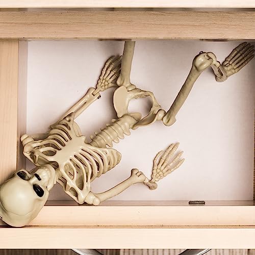 Halloween Skeleton Decorations Outdoor, 16" Plastic Posable Skeleton with Movable Joints, Small Creepy Scary Skeletons for Halloween Decor, Graveyard Haunted House Props