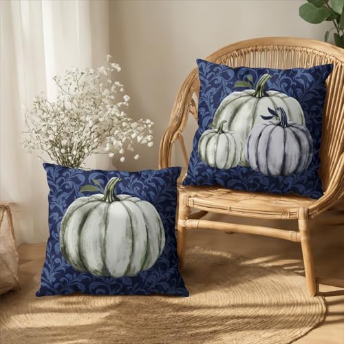 Fall Decorative Throw Pillow Covers 20 x 20 Inch Set of 2 Navy Blue White Pumpkin Outdoor Pillow Covers Autumn Thanksgiving Harvest Cushion Case for Farmhouse Living Room Decor