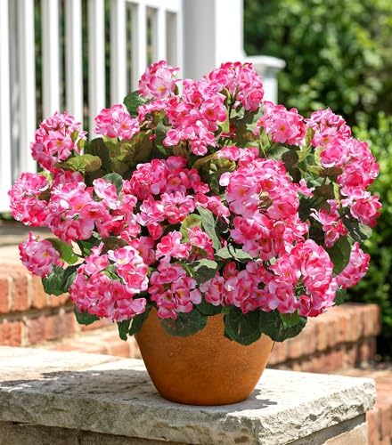 Artificial Geranium Fake Flowers for Outdoors Decoration, 6 Bundles Silk Geraniums Pink Flower UV Resistant Look Real Faux Plants for Outside Planter Front Door Garden Porch Patio Balcony Yard Home