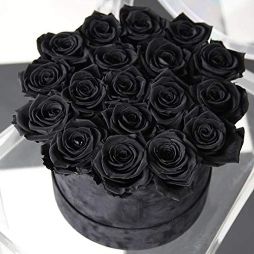 Laelfe 12 PCS Artificial Flowers Black Roses, Fake Silk Flower Long Stem Artificial Rose for Halloween Home Wedding Party Decorations(Black)