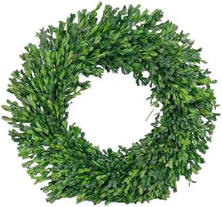 Galt International 21" Naturally Preserved Boxwood Fall Wreath – Fall, Thanksgiving & Christmas Front Door Decoration, Year Round Holiday Home Décor Accent