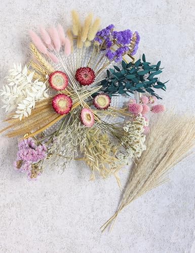 DIY Dried Flower Set, Dried Flowers for Vases, Bulk Dried Flowers, Bouquet Arrangements, Daisies. (Pink)