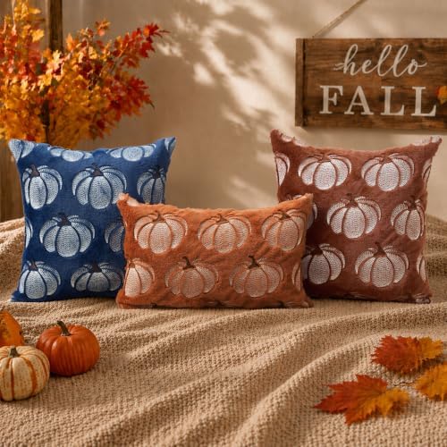 DFXSZ Fall Pillow Covers 12x20 Rust Pumpkin Plush Autumn Home Decor 093B12