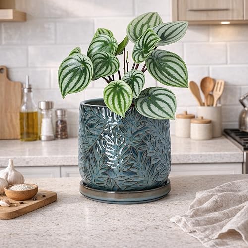 D'vine Dev Embossed Leaves Ceramic Planter, 6 in, Ocean Teal, 27-A-X-8