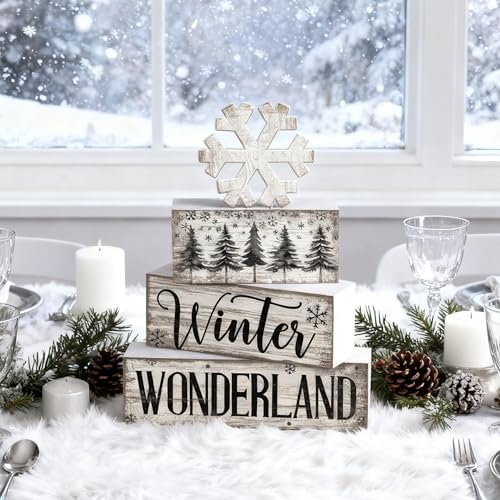 Lineshading 4 Pcs Winter Block Signs Wooden Farmhouse Tiered Tray Decor