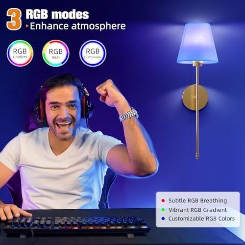 NIORSUN 19.9 inch Battery Operated Wall Sconce Set of 2,Gold Rechargeable Wall Lights with 10400mAh Dimmable Detachable