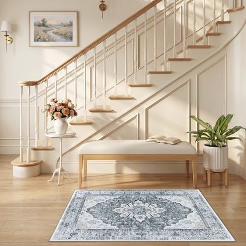 RELEANY Washable Area Rug, Small 2'6"x4', Grey/White/Beige