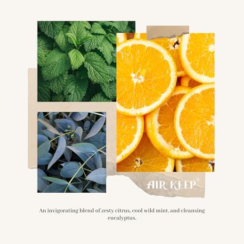 Airkeep Reed Diffuser Set,3.38 fl oz (100 ml) - Wild Mint&Eucalyptus Oil Diffusers with 8 Reed Sticks, Home Fragrance