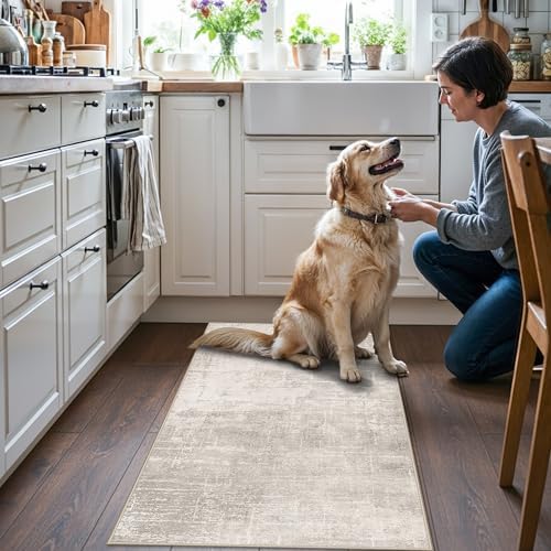 Washable 2x4 Entryway Area Rugs: Abstract Water Resistant Kitchen Sink Rug Non-Slip Durable Doormat Ultra Soft Living