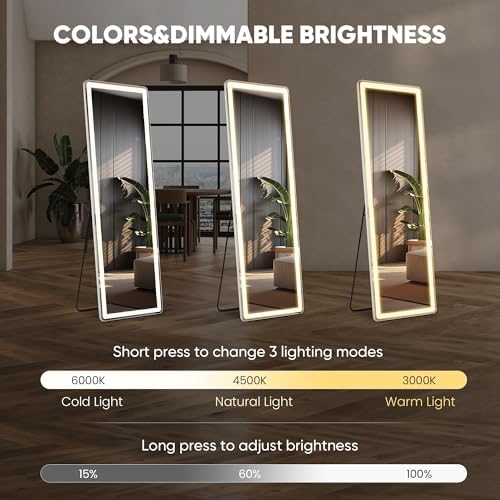 DUMOS LED Mirror Full Length with Stand, 16"x60" Full Body Wall Mirror