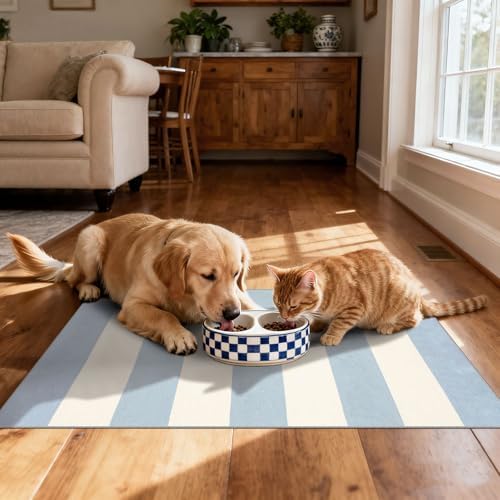 Blue White Striped Outdoor Rug - 28" x 43" Front Door Mat Indoor Outside Entrance Non-Slip Washable Summer Welcome Mat