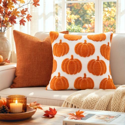 Fall Pumpkin Pillow Covers Fall Decor 20x20 Set of 2 Orange