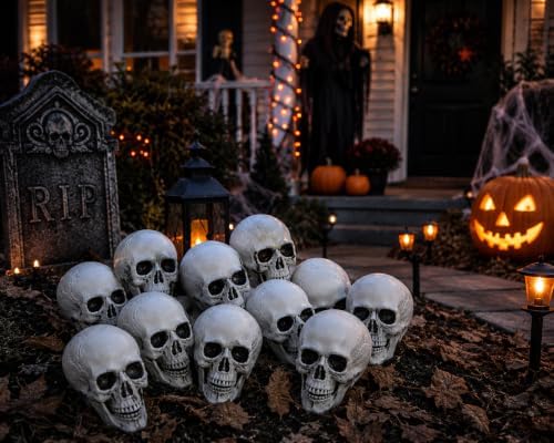 Fun Express White Plastic Realistic Skeleton Skulls, 5 Inch, 12 Pack