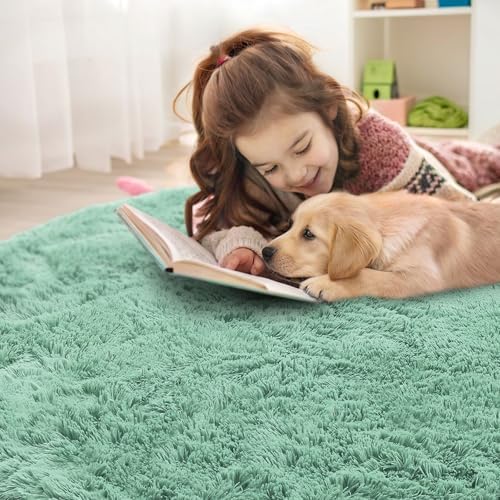 OLANLY Mint Green Round Rugs for Bedroom - Machine Washable, 2 ft Circle Area Rugs for Living Room, Soft and Fluffy