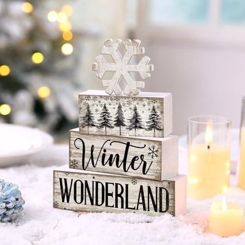 Lineshading 4 Pcs Winter Block Signs Wooden Farmhouse Tiered Tray Decor