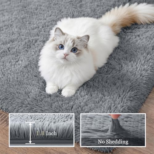 Area Rug Living Room Bedroom: 6x9 Fluffy Plush Shag Carpet Gray