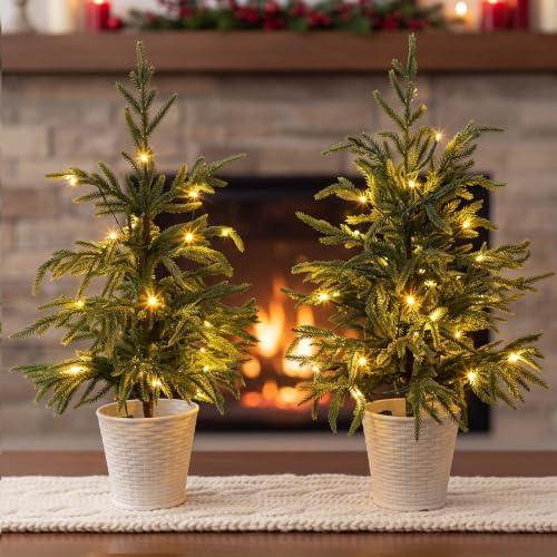 2 Pack 2FT Artificial Norfolk Pine Tree, abletop Decor Plants