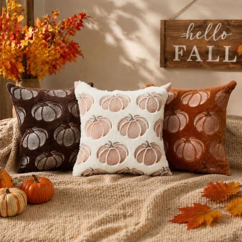 DFXSZ Fall Pillow Covers 20x20 White Pumpkin Plush Autumn Home Decor 093C20