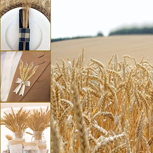 Uieke 17.7 Inches Dried Wheat Stalks, 400 Stems Dried Flowers 100% Natural Wheat for Home Kitchen Wedding Party Table Centerpiece Harvest Wreath Boho Farmhouse DIY Decoration