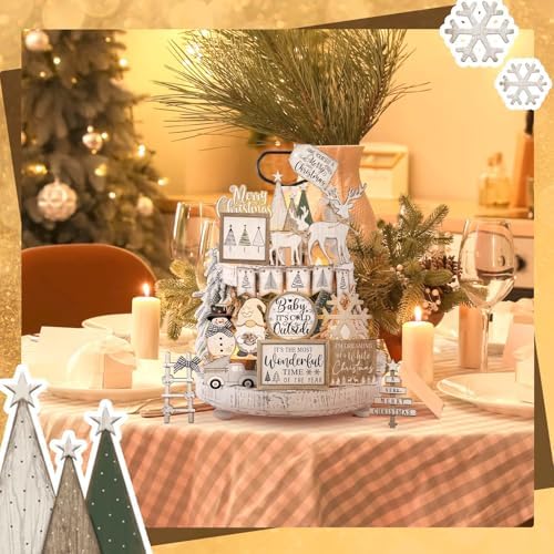 Shellwei 20 Pcs Neutral Christmas Tiered Tray Decor, Winter Farmhouse Signs