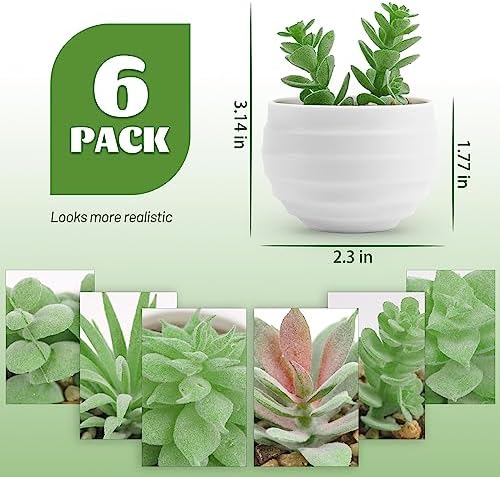 Succulents Plants Artificial in Pots Small Fake Plants / Green / Set of 6