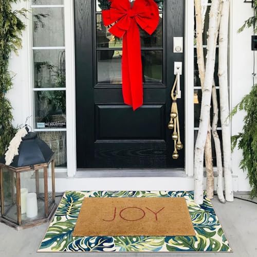 Front Door Mat Outside Entrance - 2x3 Tropical Leaf Entryway Rug