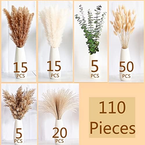 Bunny Tails Dried Flowers / 14-17inch Mixed / Set of 110