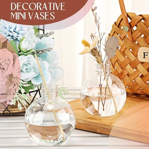 Jinei 9 Pcs 8 Oz Clear Plastic Potion Bottles Sphere Corked,Silver,Lid