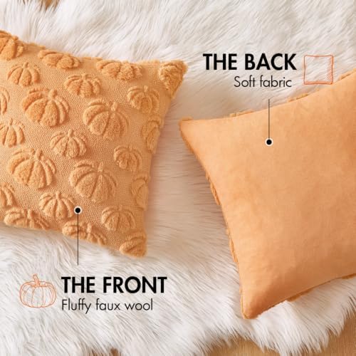 MIULEE Fall Decor Pillow Covers 20x20 Set of 2 Pumpkin Light Orang