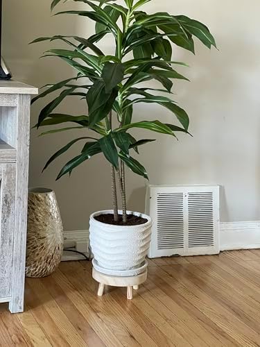 Wood Stool Plant Stand / Beige / 8 Inch / Set of 2